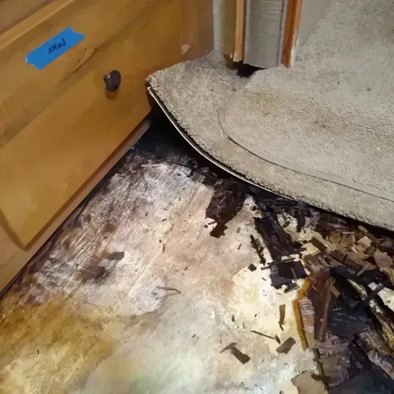 Best Wood Floor Water Damage Service in San Antonio, FL